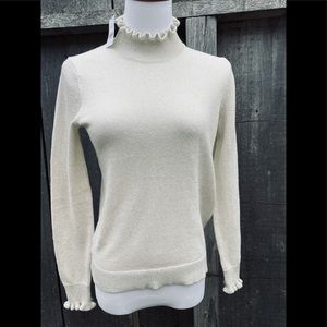 Sparkly Mock Turtleneck NWT